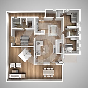 Apartment flat top view, furniture and decors, plan, cross section interior design, architect designer concept idea, gray