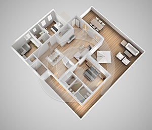 Apartment flat top view, furniture and decors, plan, cross section interior design, architect designer concept idea, gray