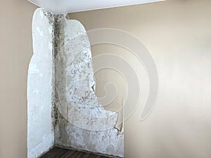 apartment room with mildew and black mold problem on the white wall