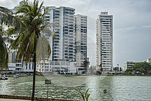 Apartment towers on north side of El Laguito, laguna, Bocagrande, Cartagena, Colombia photo