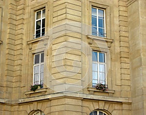 Apartment Windows