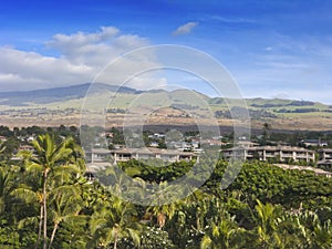 Apartments and Condos of Maui, HI