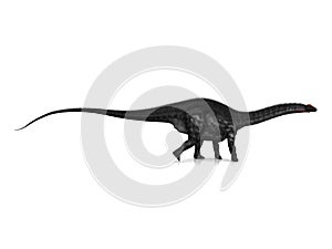 Apatosaurus