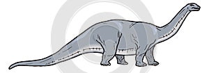 apatosaurus dinosaur ancient vector illustration transparent background