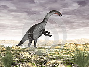 Apatosaurus dinosaur in the desert - 3D render