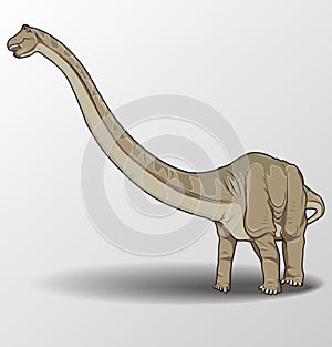Apatosaurus illustration