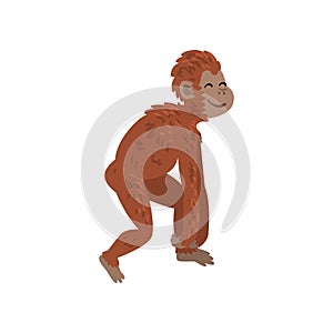 Ape, Monkey Animal Progress, Biology Human Evolution Stage, Evolutionary Process of Woman Vector Illustration