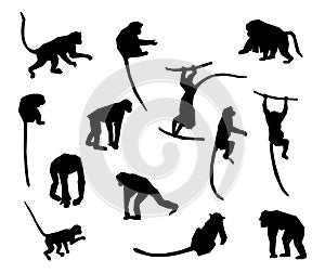 Ape and Monkey collection - vector silhouette.