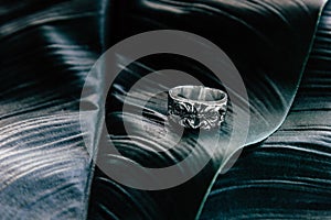 Ape shape ring on green leaf