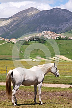 Apennine mountains photo