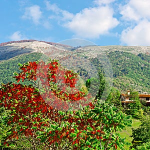 Apennines