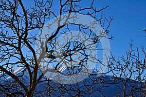 Apennines Landscape