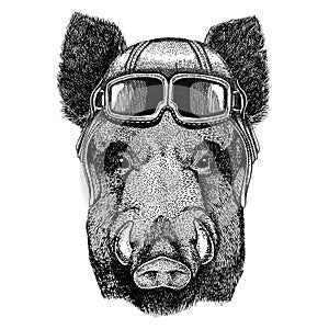 Aper, boar, hog, hog, wild boar wearing leather helmet Aviator, biker, motorcycle Hand drawn illustration for tattoo photo