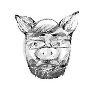 Aper, boar, hog, wild boar. Animal pig in glasses. Scientist family man. Elegant vintage animal. Image for tattoo, t