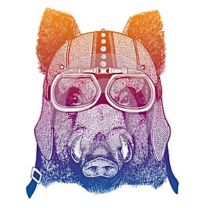 Aper, boar, hog, wild boar. Animal wearing biker, motorcycle helmet. Wild rider, racer. Motorcycle club. Fashion print