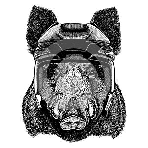 Aper, boar, hog, wild boar, animal wearing hockey helmet. Hand drawn image of lion for tattoo, t-shirt, emblem, badge