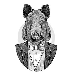 Aper, boar, hog, wild boar, hog, Hipster animal Hand drawn image for tattoo, emblem, badge, logo, patch, t-shirt