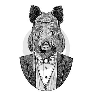 Aper, boar, hog, wild boar, hog, Hipster animal Hand drawn image for tattoo, emblem, badge, logo, patch, t-shirt photo