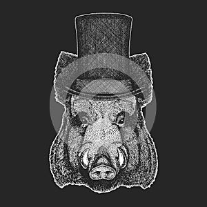 Aper  boar  hog  wild boar Top hat  cylinder. Hipster animal  gentleman. Classic headdress. Print for children t-shirt