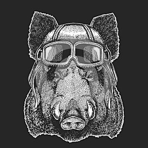 Aper, boar, hog, wild boar wearing aviator hat. Print for children clothes, tee, t-shirt. Pilot wild animal