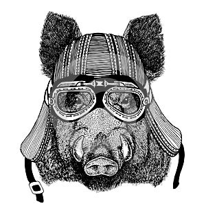 Aper, boar, hog, wild boaraper, boar, hog, wild boar Hand drawn image of animal wearing motorcycle helmet for t-shirt photo