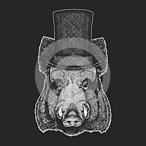 Aper  boar  hog  wild boar Top hat  cylinder. Hipster animal  gentleman. Classic headdress. Print for children t-shirt photo