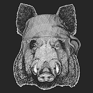 Aper, boar, wild hog Cool pirate, seaman, seawolf, sailor, biker animal for tattoo, t-shirt, emblem, badge, logo, patch photo