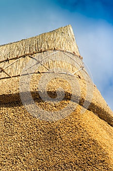 Apex of a freshly thatched cottage roof photo