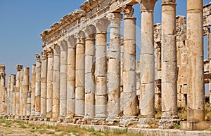 Aphamia ruins, Syria