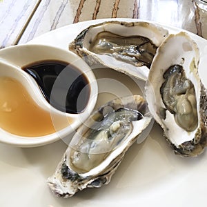 Aphrodisiac oyster
