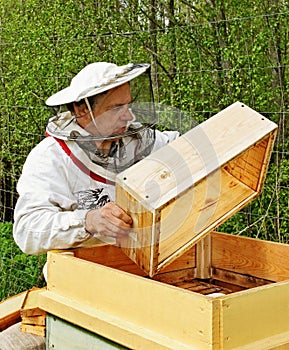 Apiarist.