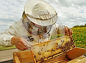 Apiarist.
