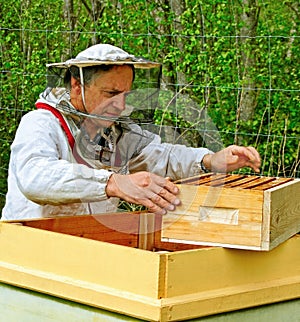 Apiarist.