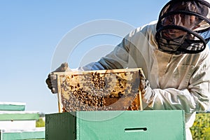 apiarist in beekeeping suit holding frame
