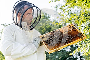 apiarist in beekeeping suit holding frame