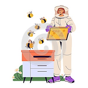 Apiarist in protective suit holds honeycomb frame of beehive. Beekeeper gathers harvest of bee garden. Honey farmer