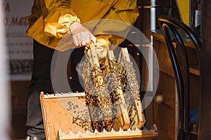 Apiarist putting hive frames on the beekeeping frame holder