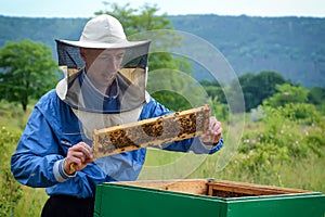 Apiary. The beekeeper works with bees near the hives. Apiculture.