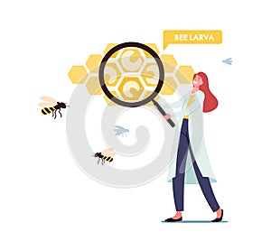 Apiary, Biology Science Concept. Tiny Scientist Character Wearing White Medical Labcoat with Huge Magnifying Glass