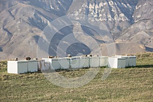 Apiary on the grass in the mountains. Beekeeping.