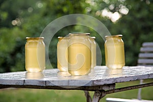 Apiary hive frame with bees wax structure full of fresh bee honey in honeycombs. on white backgroundGlass of fresh liquid