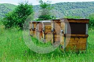 The apiary is located in ecologically pure mountainous area. Receiving ecologically pure honey. Mountain honey. photo