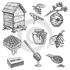 Apiary sketch icons, honey dipper, hive, honeycomb