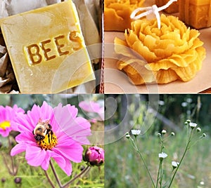 Apiary theme montage. Pure beeswax, handcrafted candle and wild flowers with pollinator.