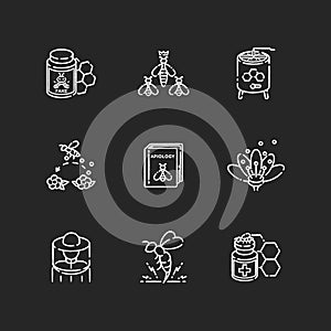 Apiculture chalk white icons set on black background