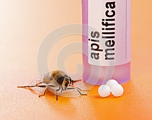 Apis Mellifica homeopathic medication and bee photo
