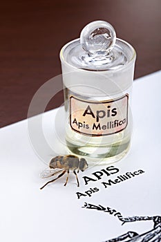 Apis Mellifica sheet, the bee and poison extract photo