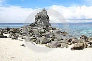 Apo island beach Dumaguete negros philippines