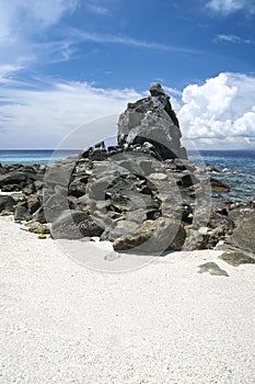 Apo island beach negros philippines