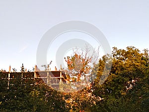 Apocalyptic landscape. Abandoned building and trees at sunset